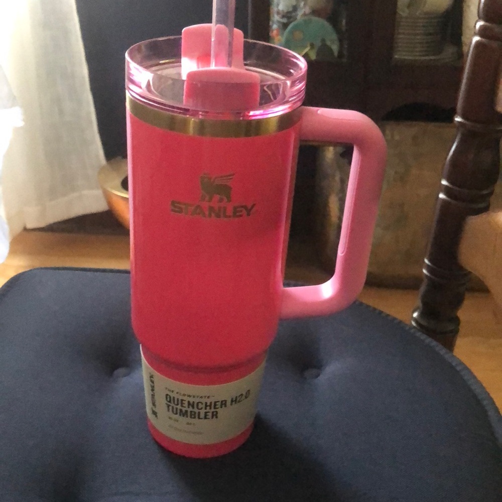 Stanley, quencher, H2O, Tumblr, 30 ounces